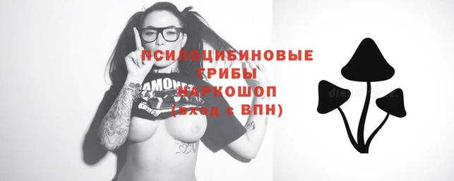 прущие крисы Алзамай