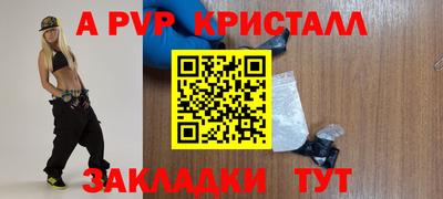 спиды Гусев