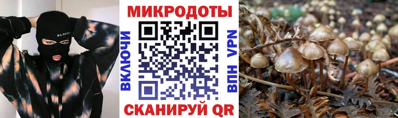 Галлюциногенные грибы Magic Shrooms Дальнереченск